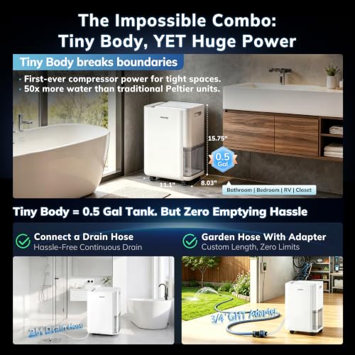 Best Dehumidifier For 3000 Square Feet