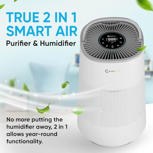 Best Humidifier And Air Purifier Combo
