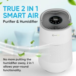 Best Air Purifier And Humidifier