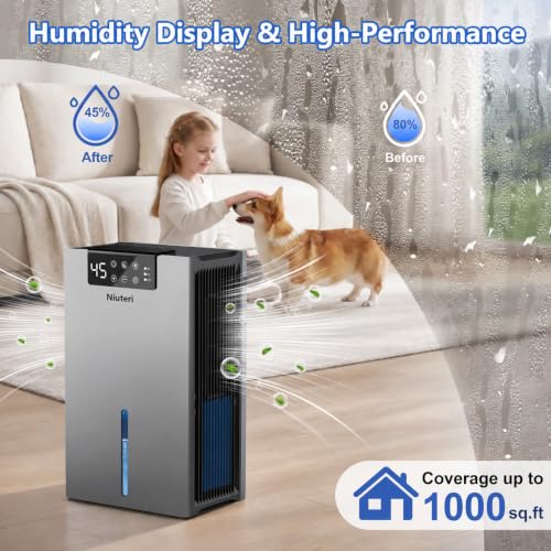 Best Small Dehumidifier With Drain Hose