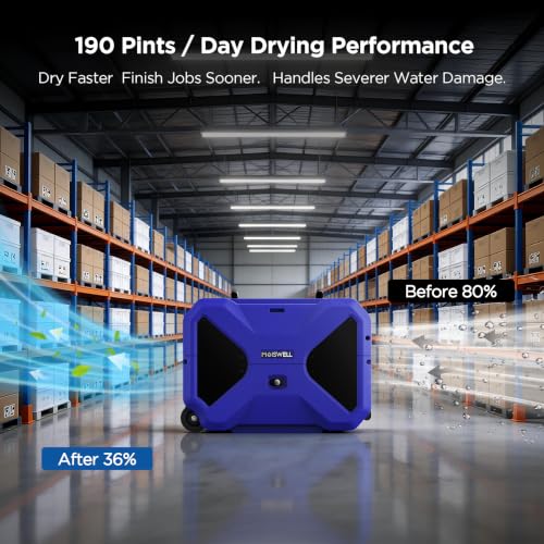 Best Dehumidifier For Water Damage
