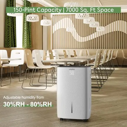Best Large Capacity Dehumidifier