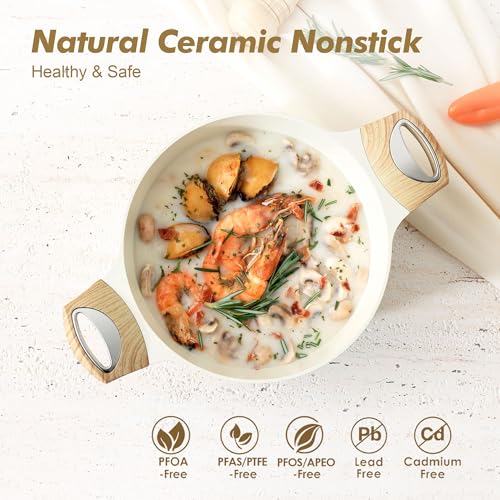 Best Ceramic Cooking Pots