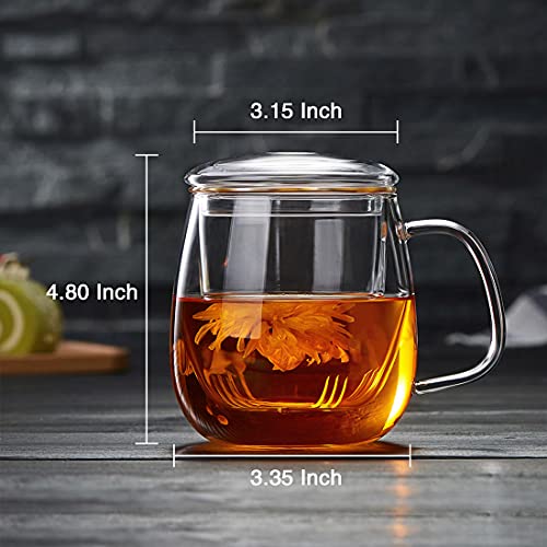 Best Glass Tea Infuser