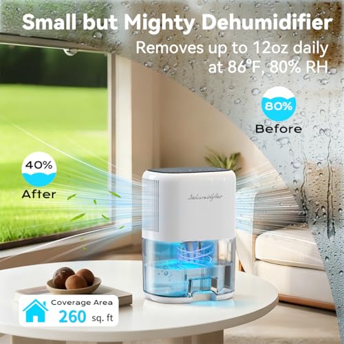 Best Dehumidifier For Dorm Room