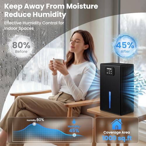 Best Portable Dehumidifier