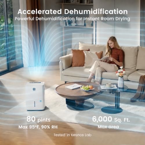 Best Energy Star Dehumidifier For Basement