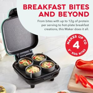 Best Egg Bite Maker