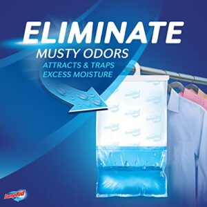 Best Dampness Remover