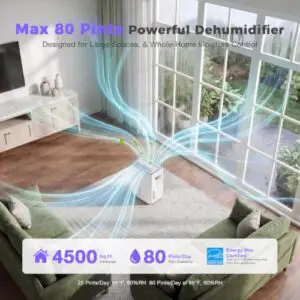 Best 100 Pint Dehumidifier